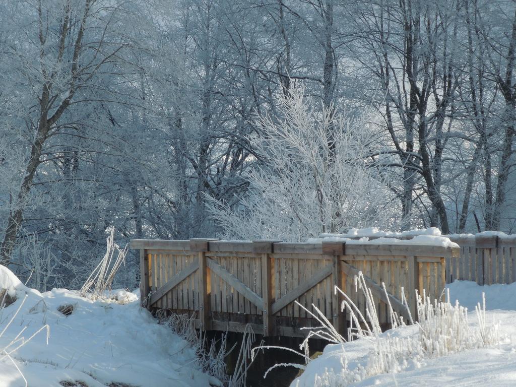 Haus Bergkranz Bed & Breakfast Lermoos Dış mekan fotoğraf